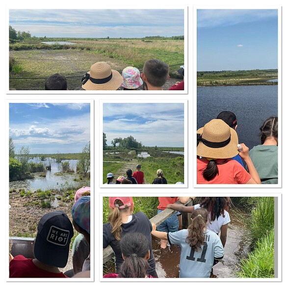 auf einer Photocollage sieht man den weiten Blick über die Moorlandschaft aus verschiedenen Perspektiven sowie Kinder, die durch Moorwasser laufen und sich dabei an einem Handlauf festhalten. 
