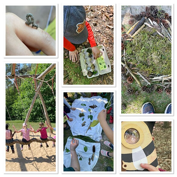 auf einer Photocollage sieht man eine Raupe auf einer Hand, verschiedene Blätter, Zweige und Tannenzapfen, das Modell eines Facettenauges einer Biene, sowie Kinder von hinten nebeneinander auf einer Schaukel sitzend sowie 
