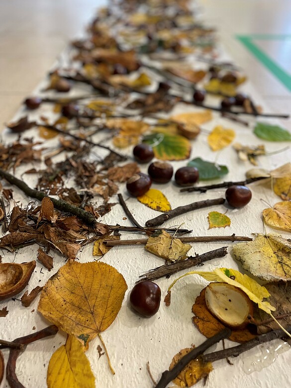 Das Foto zeigt Kastanien, Blätter und Zweige