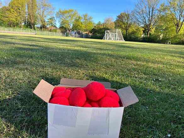 rote Clownsnasen in einem Karton auf der Rasenfläche der Bezirkssportanlage