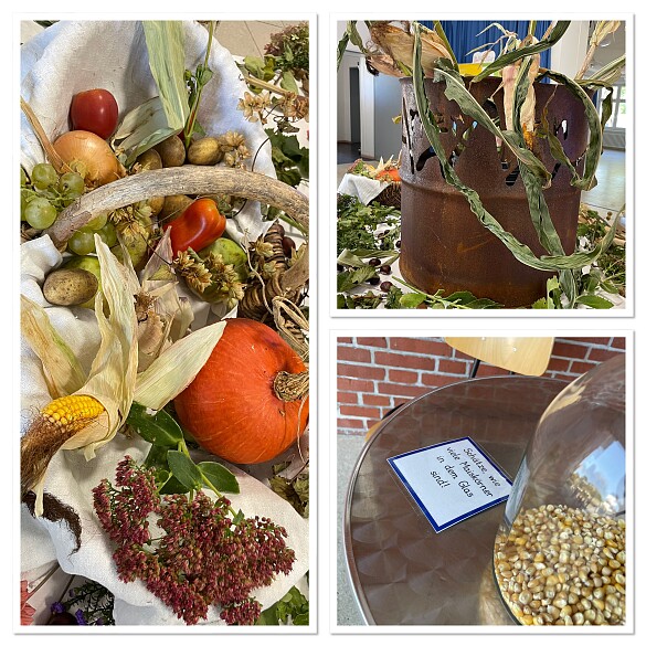 auf der Fotocollage sind verschiedene Gemüse- und Obstsorten in einem Korb zu sehen sowie ein Glas mit vielen Maiskörnern